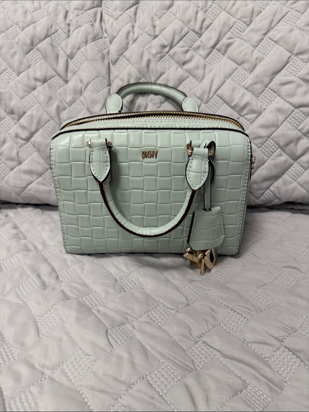 DKNY Croc Embossed Mini Satchel Crossbody Bag Sage Green Gold Hardware